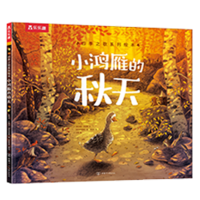 ֮ϵл汾 С