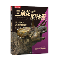 PNSO 